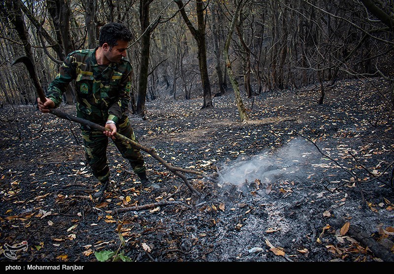آتش سوزی جنگل ها و مراتع , اخبار چالوس , جنگل های هیرکانی , 