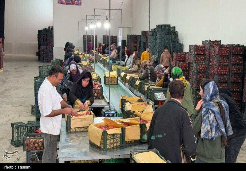 در سفر وزیر جهاد کشاورزی به هریس و اهر چه گذشت؟