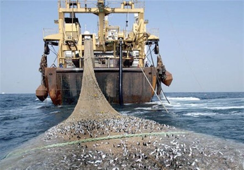 اخبار بندرعباس , صید ترال , نظام مسائل استان هرمزگان , 