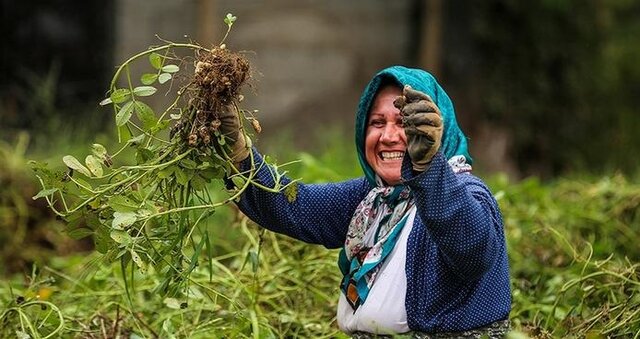 وقتی خشکسالی هم جلوی زنان روستایی را نمی گیرد...