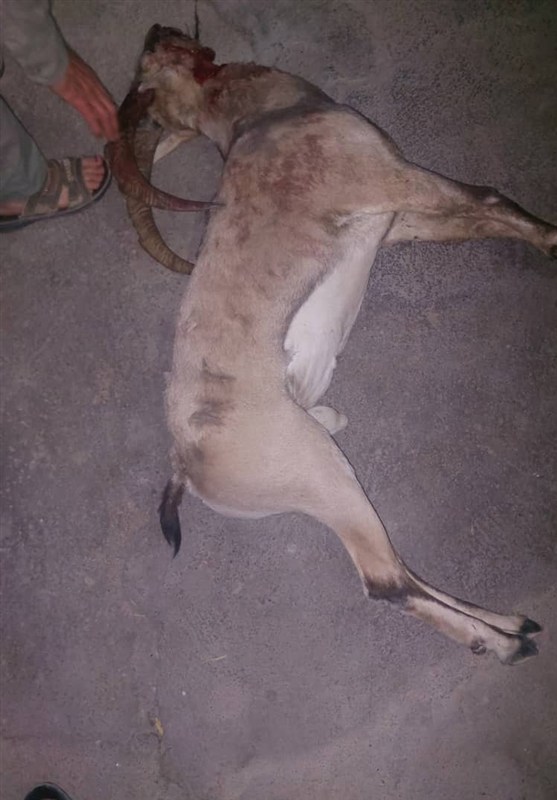 پایش و نظارت در محیط زیست , اخبار استان کهگیلویه و بویراحمد , 